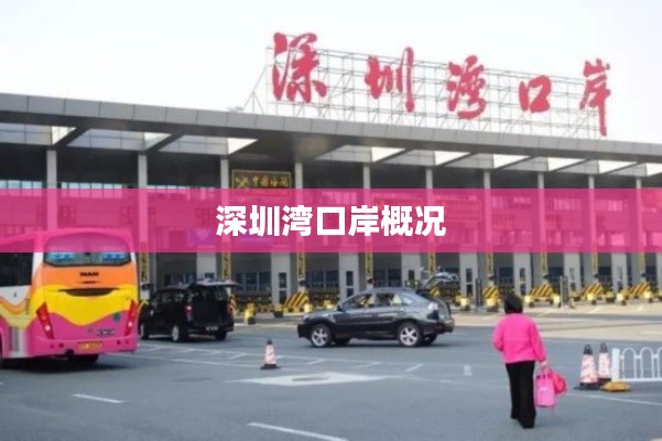 深圳湾口岸概况