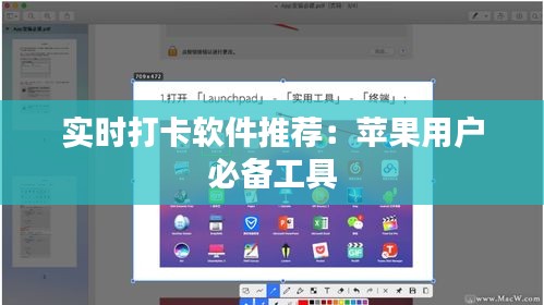 实时打卡软件推荐：苹果用户必备工具