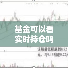 基金可以看实时持仓吗，可以看到基金的实时仓位吗 