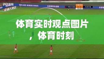 体育实时观点图片，体育时刻 