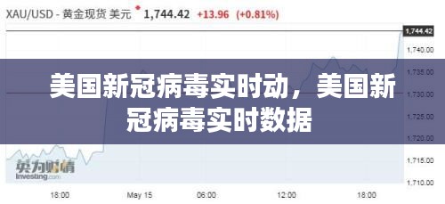 美国新冠病毒实时动，美国新冠病毒实时数据 