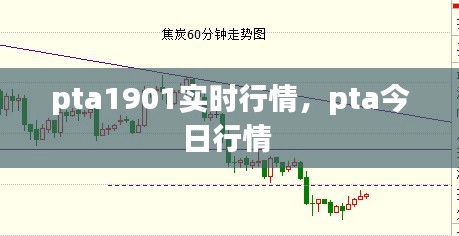 pta1901实时行情，pta今日行情 