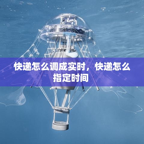 快递怎么调成实时，快递怎么指定时间 