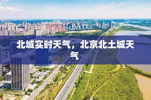 第1584页