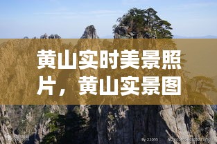 黄山实时美景照片，黄山实景图 