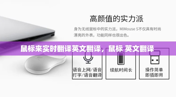 鼠标来实时翻译英文翻译，鼠标 英文翻译 