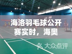 海洛羽毛球公开赛实时，海奥羽毛球俱乐部 