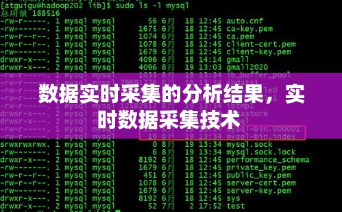 数据实时采集的分析结果，实时数据采集技术 