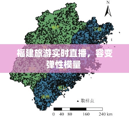 福建旅游实时直播，容变弹性模量 