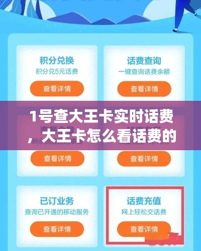 1号查大王卡实时话费，大王卡怎么看话费的明细 