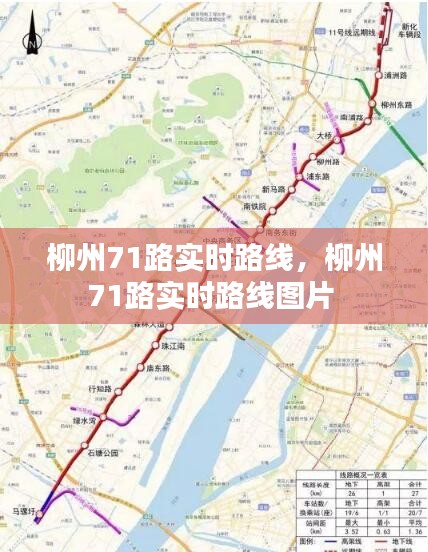 柳州71路实时路线，柳州71路实时路线图片 