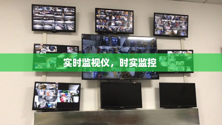 实时监视仪，时实监控 