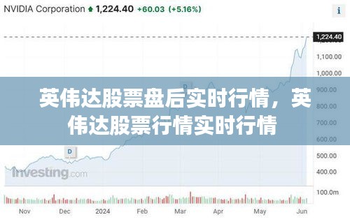 英伟达股票盘后实时行情，英伟达股票行情实时行情 