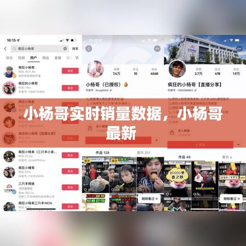 小杨哥实时销量数据，小杨哥最新 