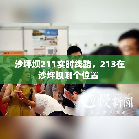 沙坪坝211实时线路，213在沙坪坝哪个位置 