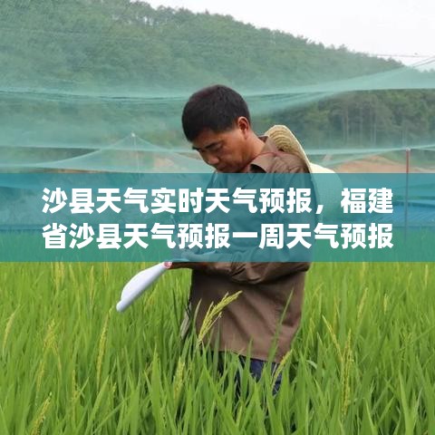 沙县天气实时天气预报，福建省沙县天气预报一周天气预报 