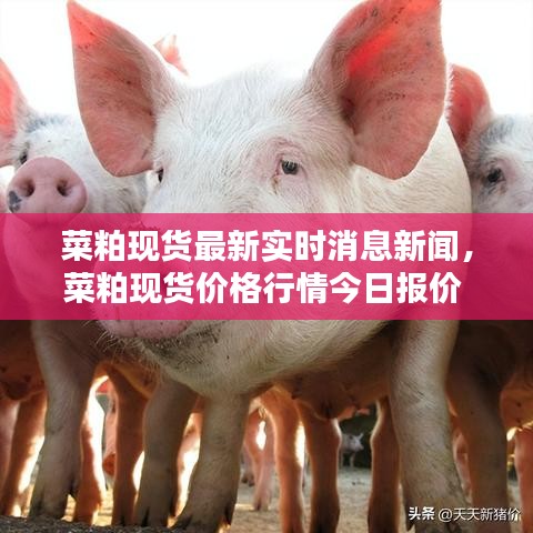 第1559页