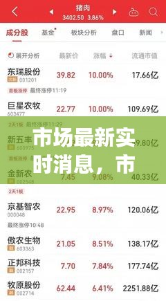 市场最新实时消息，市场最新实时消息 