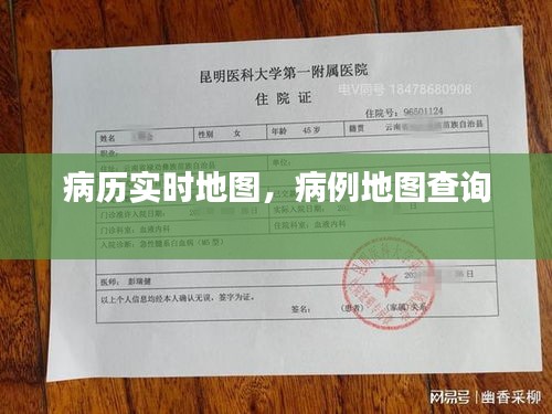 病历实时地图，病例地图查询 
