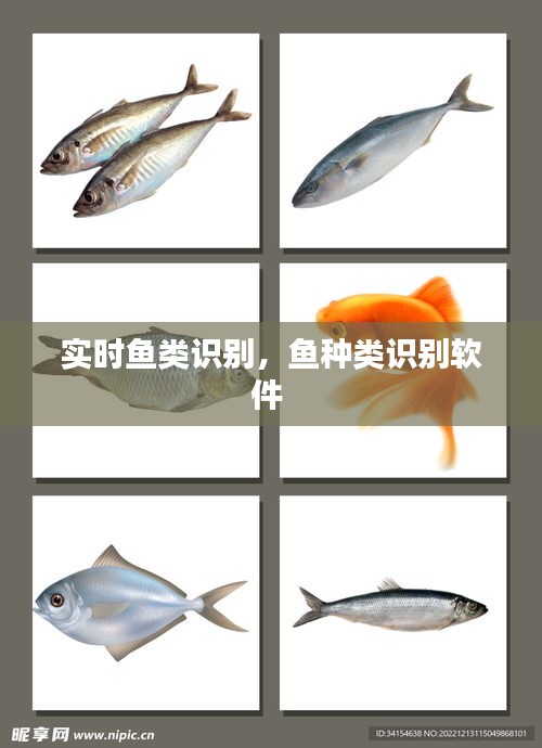 实时鱼类识别，鱼种类识别软件 