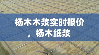 杨木木浆实时报价，杨木纸浆 