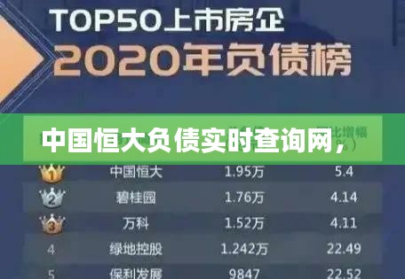中国恒大负债实时查询网， 