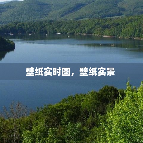 壁纸实时图，壁纸实景 