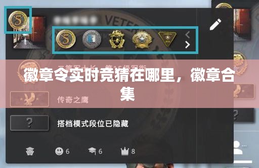 徽章令实时竞猜在哪里，徽章合集 