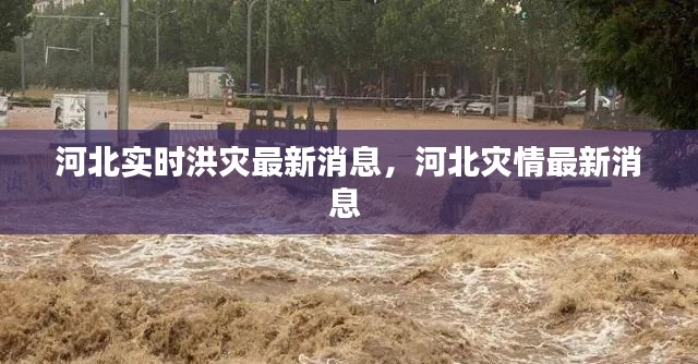 河北实时洪灾最新消息，河北灾情最新消息 