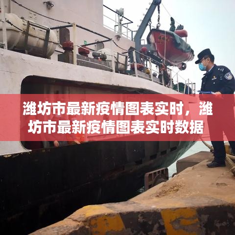 潍坊市最新疫情图表实时，潍坊市最新疫情图表实时数据 