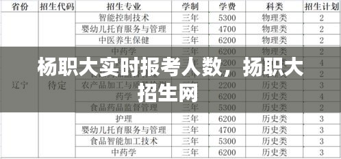 杨职大实时报考人数，扬职大招生网 