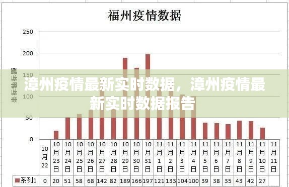漳州疫情最新实时数据，漳州疫情最新实时数据报告 