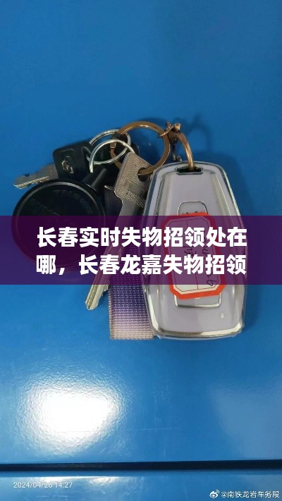 长春实时失物招领处在哪，长春龙嘉失物招领电话 