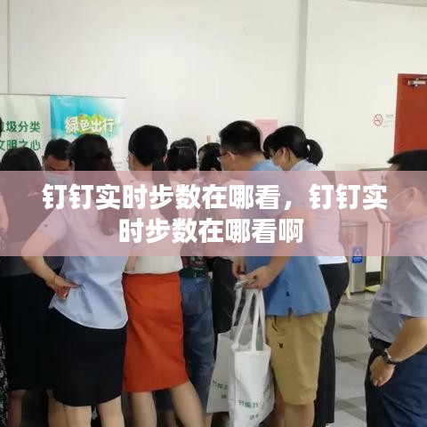 钉钉实时步数在哪看，钉钉实时步数在哪看啊 