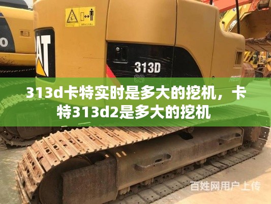 313d卡特实时是多大的挖机，卡特313d2是多大的挖机 