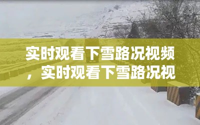 实时观看下雪路况视频，实时观看下雪路况视频下载 