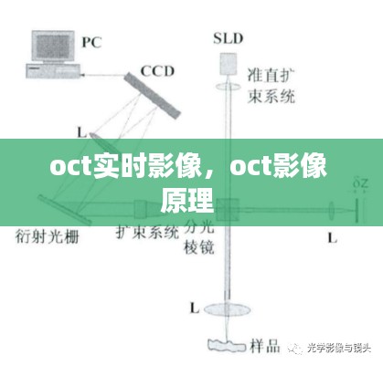 oct实时影像，oct影像 原理 