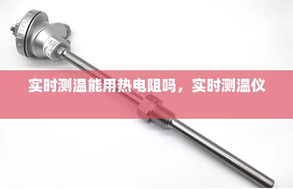 实时测温能用热电阻吗，实时测温仪 