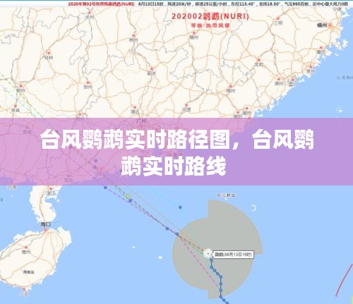 台风鹦鹉实时路径图，台风鹦鹉实时路线 