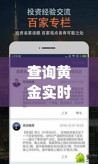 查询黄金实时价格app，查询黄金实时价格行情 