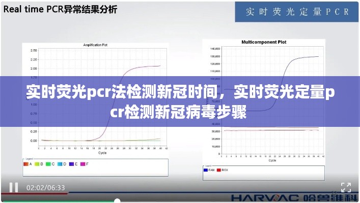 实时荧光pcr法检测新冠时间，实时荧光定量pcr检测新冠病毒步骤 