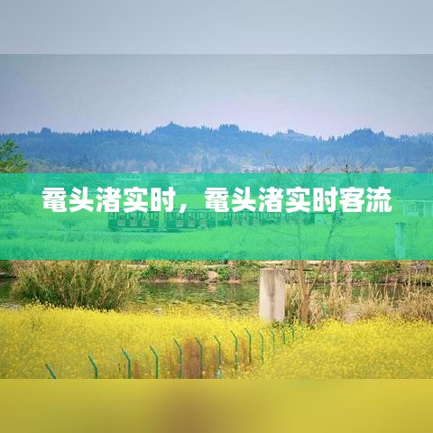 鼋头渚实时，鼋头渚实时客流 