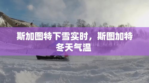 斯加图特下雪实时，斯图加特冬天气温 