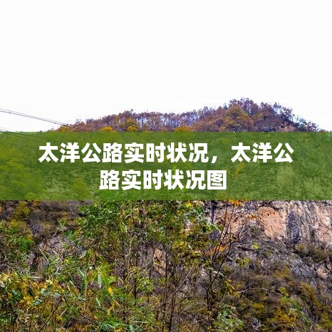 太洋公路实时状况，太洋公路实时状况图 