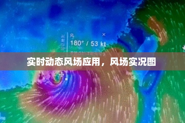 实时动态风场应用，风场实况图 