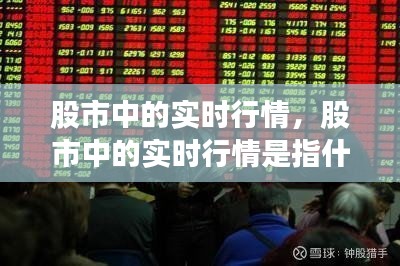 股市中的实时行情，股市中的实时行情是指什么 