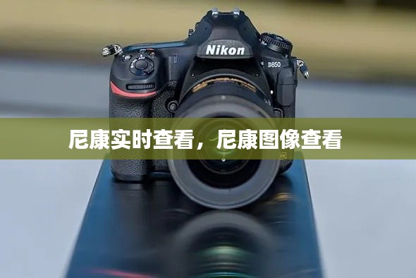 尼康实时查看，尼康图像查看 