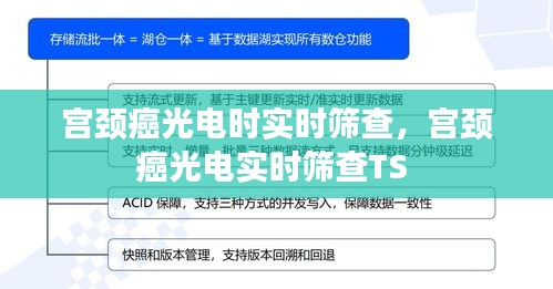 宫颈癌光电时实时筛查，宫颈癌光电实时筛查TS 