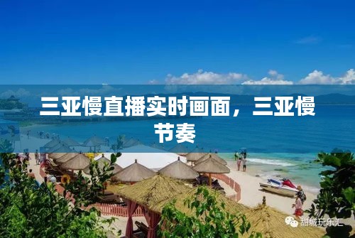 三亚慢直播实时画面，三亚慢节奏 