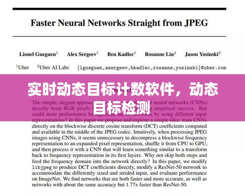 实时动态目标计数软件，动态目标检测 